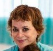 גילי פרי